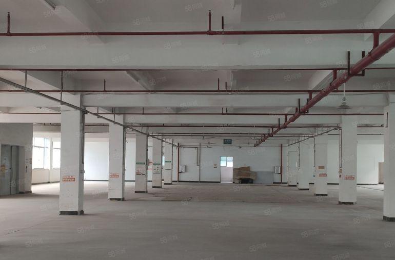 10元惠阳新圩长布原房东2000平标准厂房仓库出租，可办环评