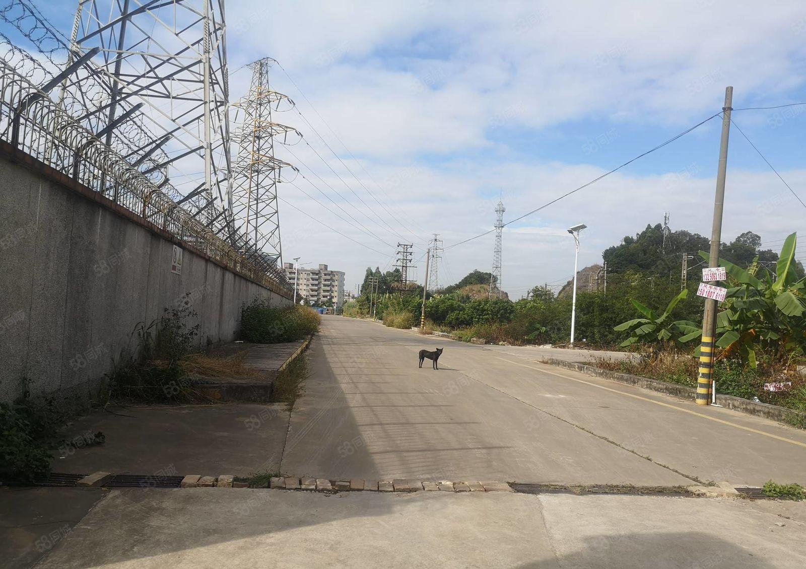 100平方起租500平方8米高秋长钢构厂房出租 不限行业