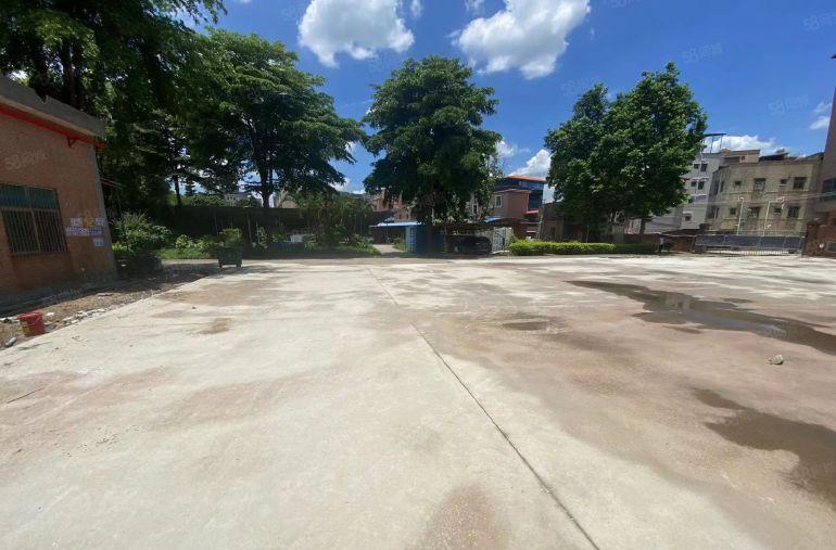 惠阳新圩9米高3000钢构厂房低价出租空地免费使用