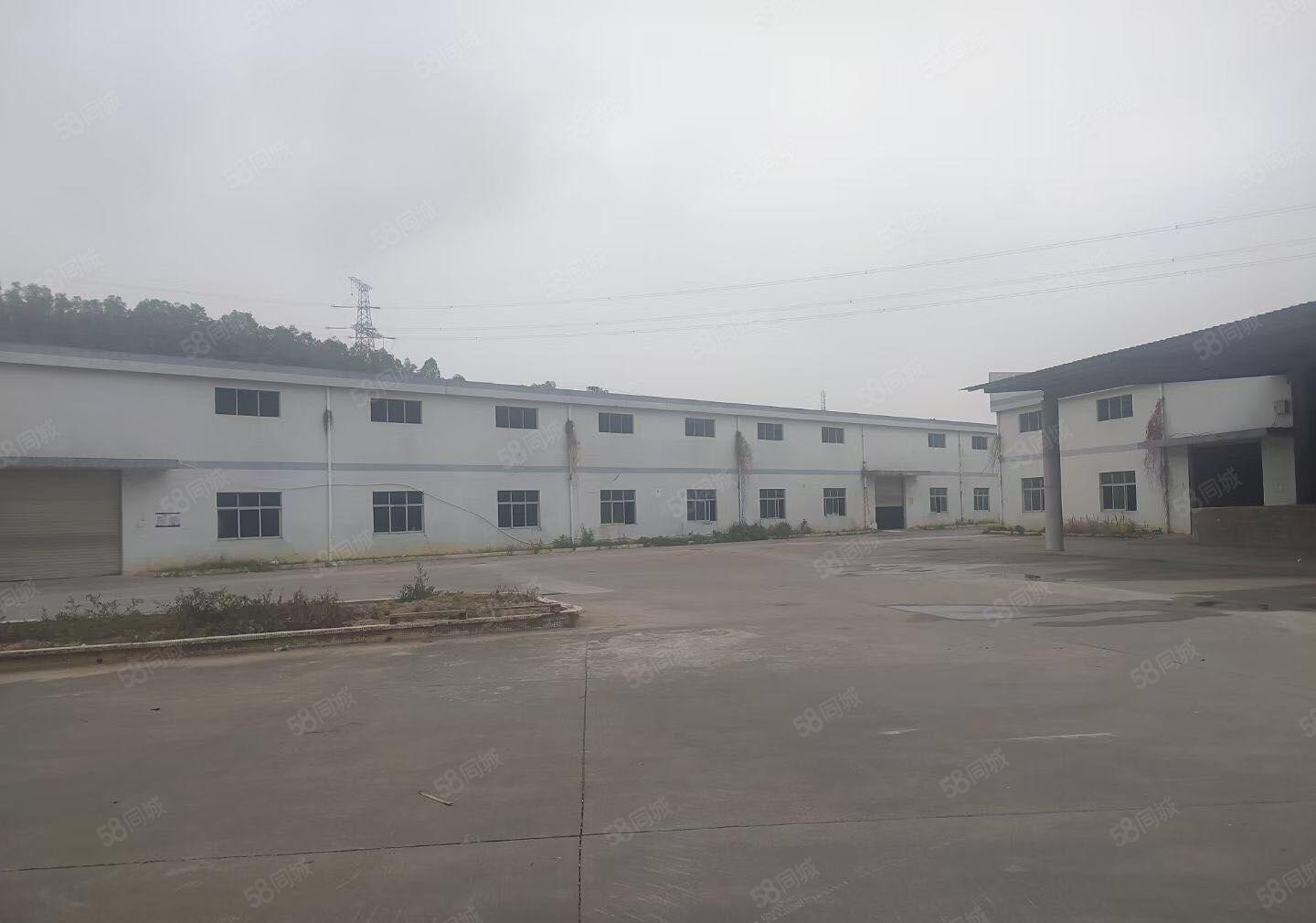 石湾一楼独院单一层钢构厂房出租15000平米大小可以分租