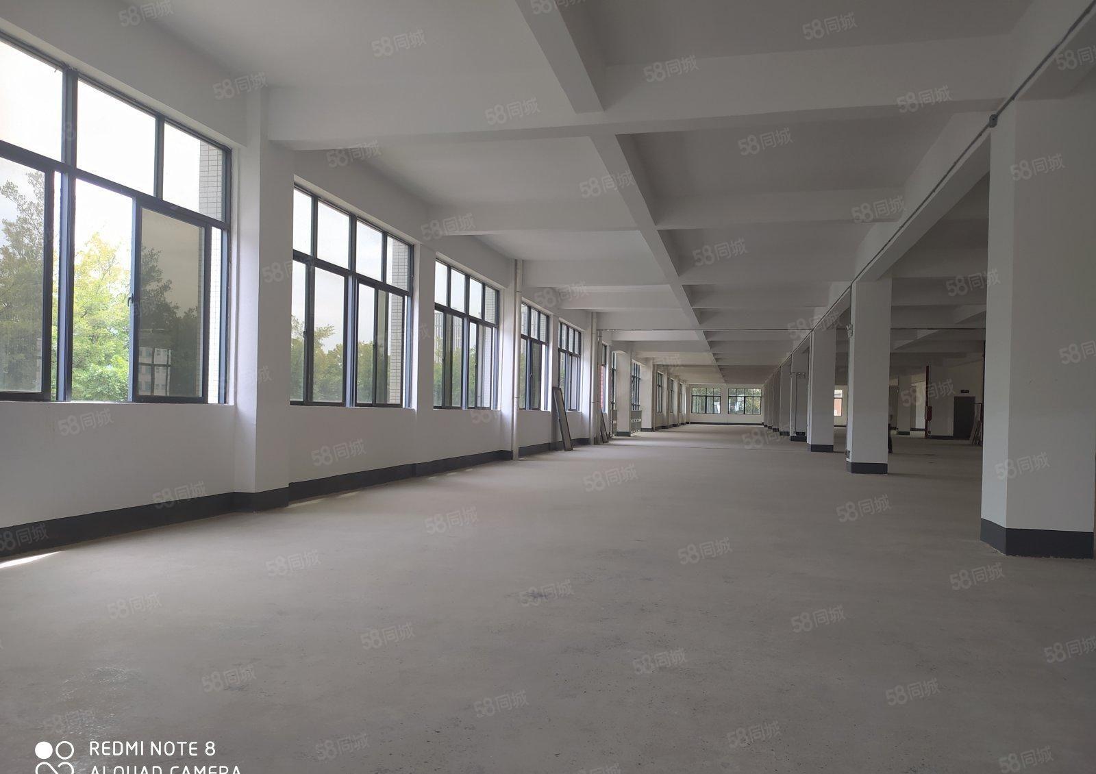 13元惠阳区淡水红本厂房5000平出租可分租可办环评原房东