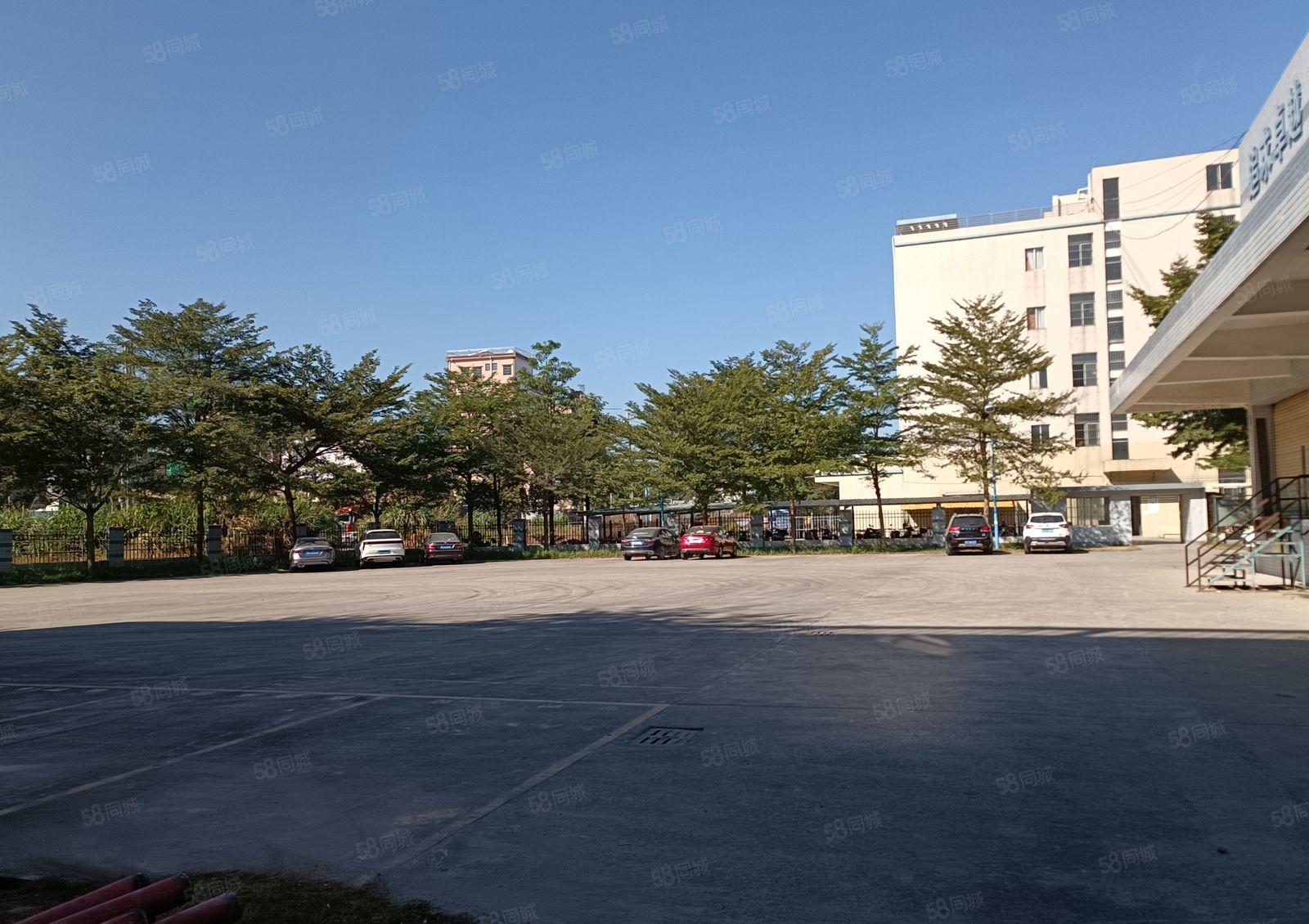 （现成无尘车间）惠阳镇隆新出花园式厂房15000平