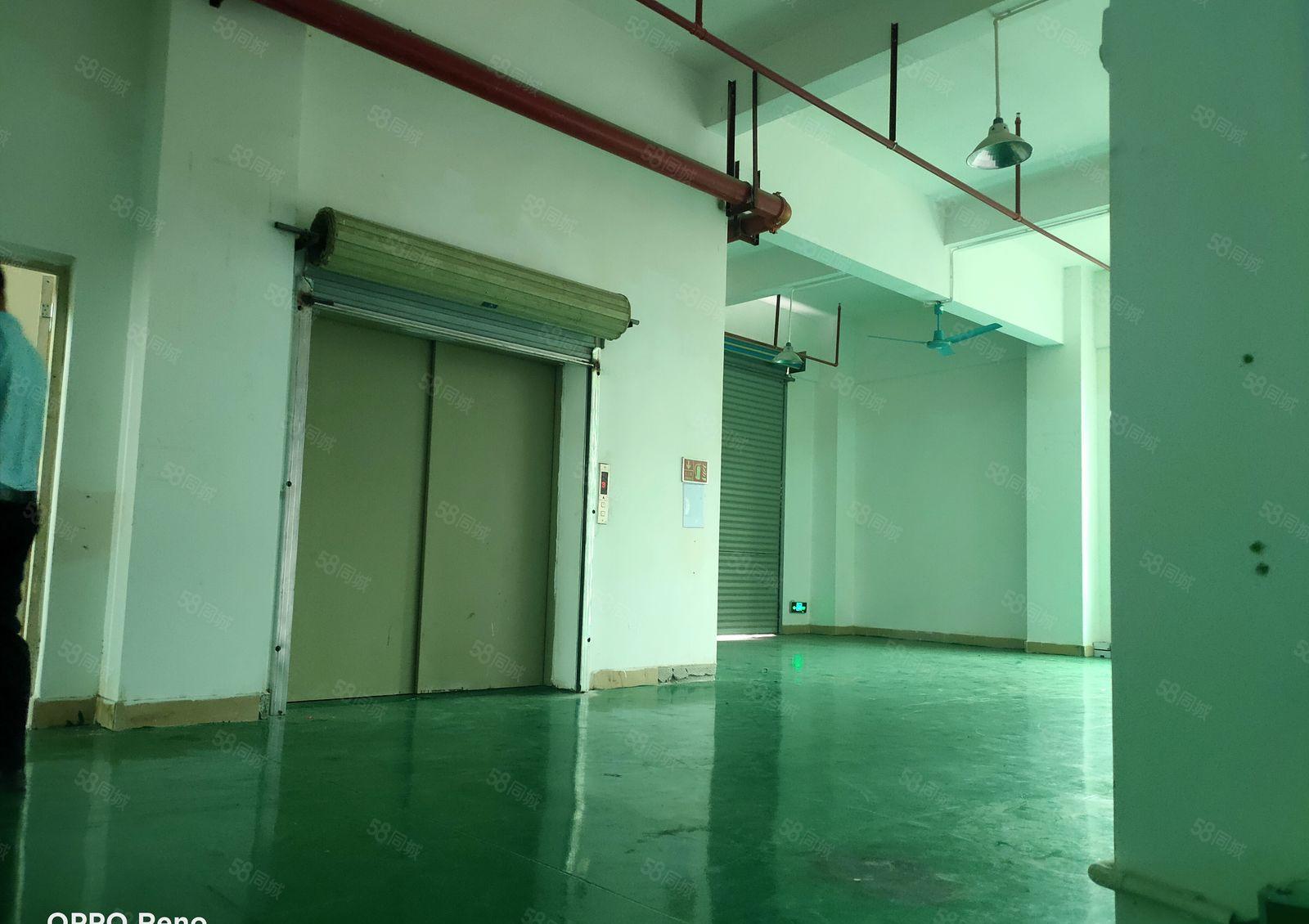 惠阳区秋长镇新空出五楼标准厂房1930平