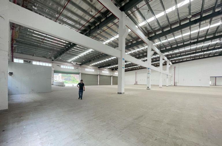 惠阳淡水高速口单一层滴水10米砖墙到顶钢结构厂房仓库低价出租