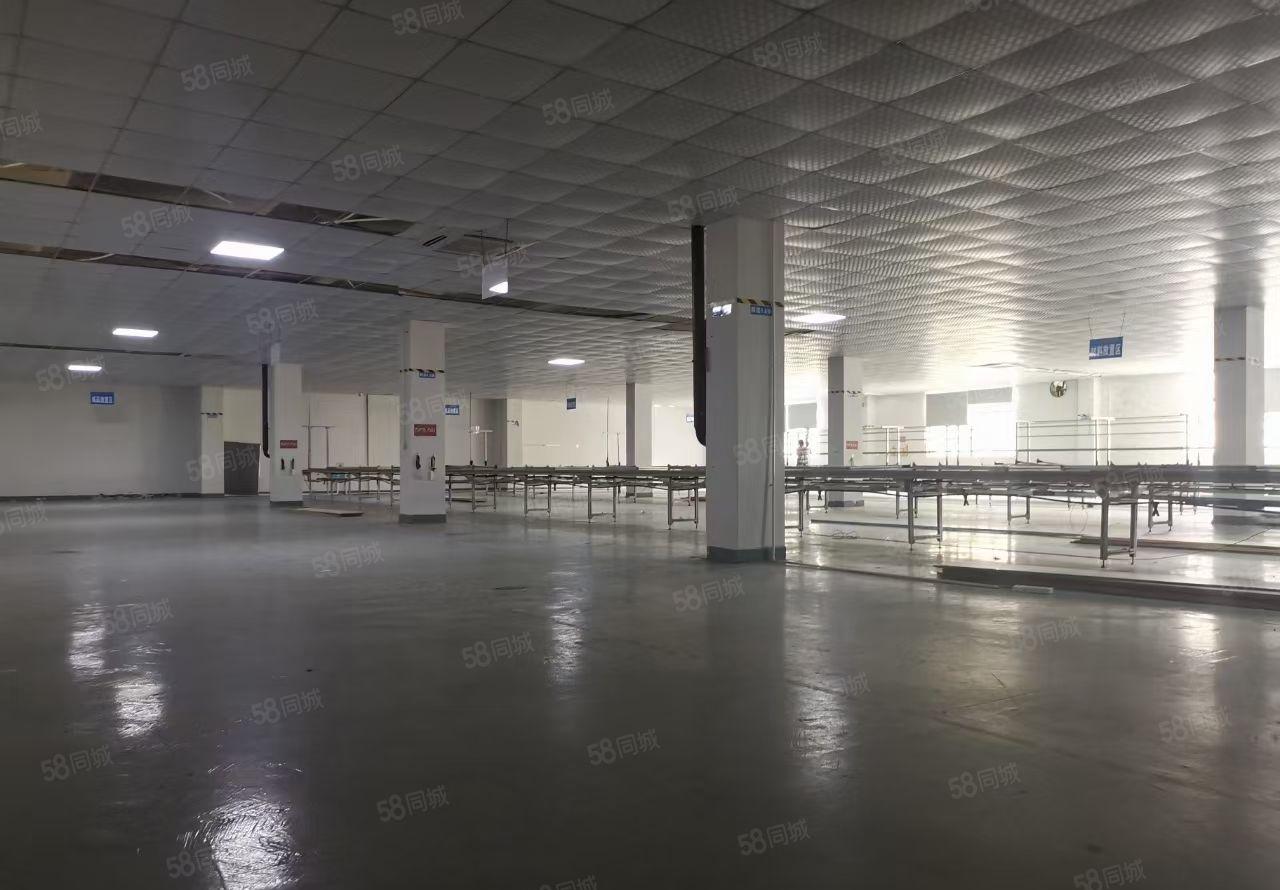 惠阳独门独院标准厂房出租