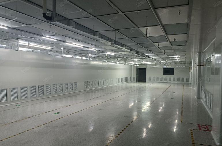 （免费使用）惠阳镇隆现成千级无尘车间厂房2500平方米招租