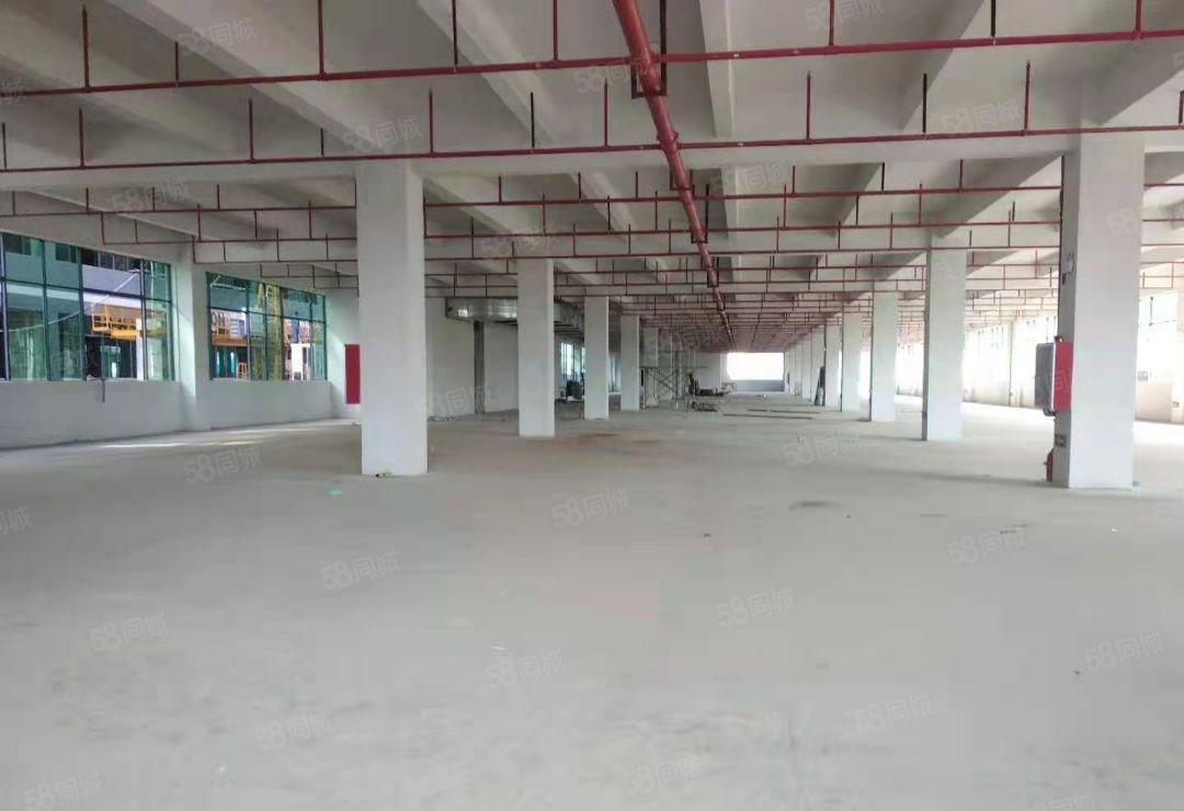 惠东县白花镇10元全新标准厂房3500平方楼上整层出租可分租