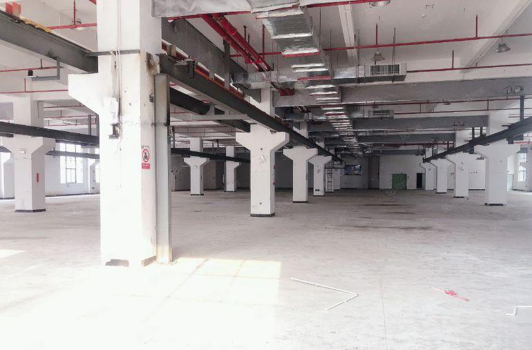 新圩临深1，2楼各2000平，可单独分租，带装修仓库厂房出租