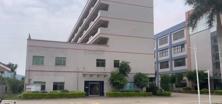 6元！镇隆1000平二楼原房东精装修厂房仓库低价出租可分租