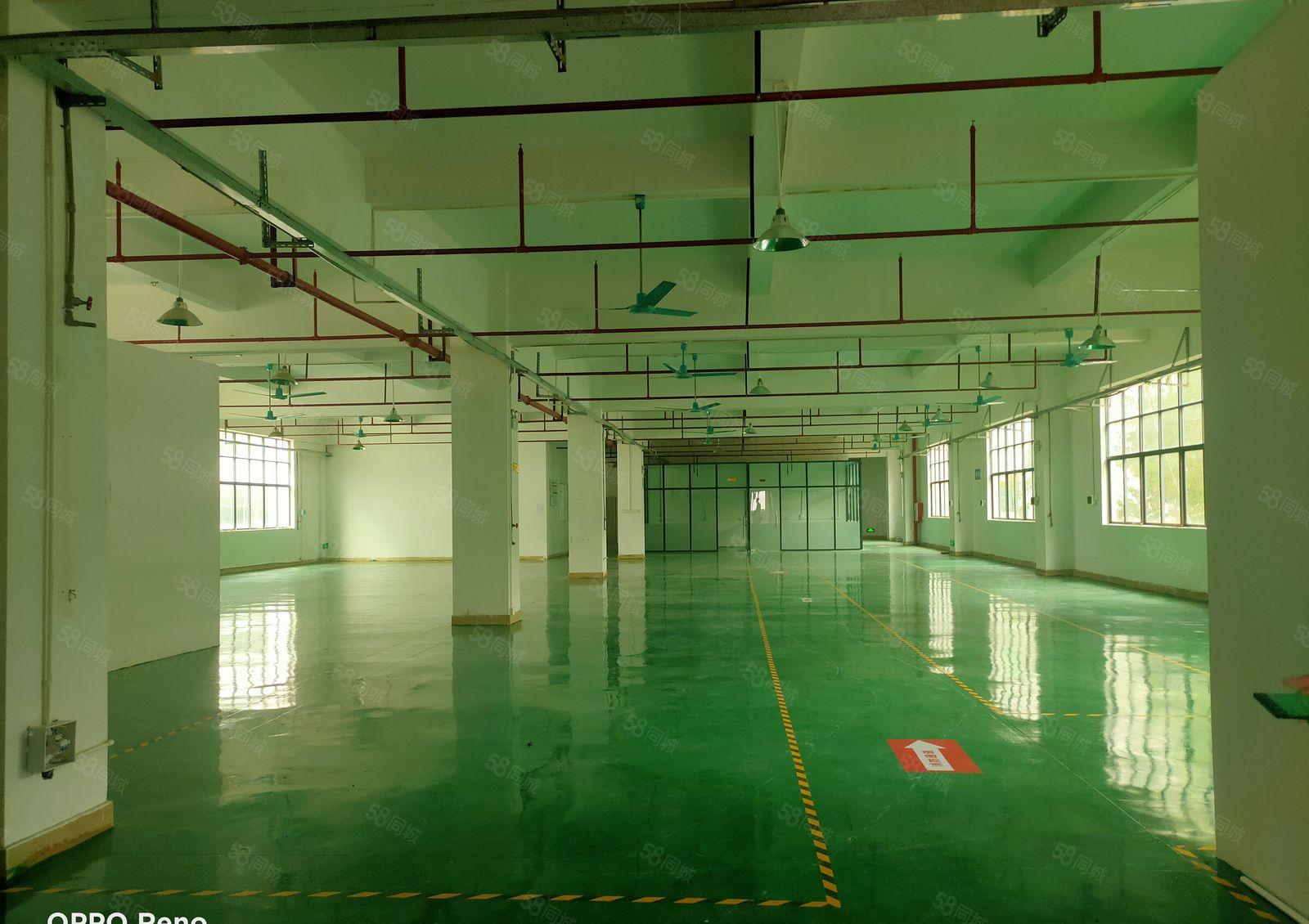 惠阳区秋长镇新空出五楼标准厂房1930平