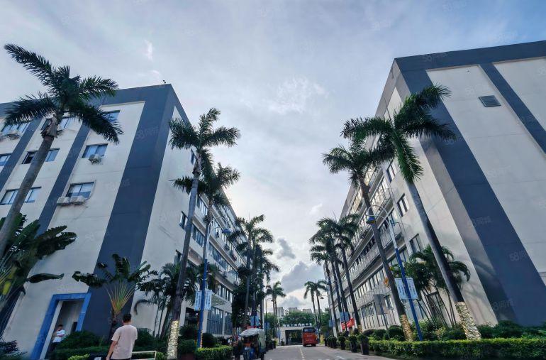 临深，临深惠阳区秋长白石8元原房东红本精装修厂房出租