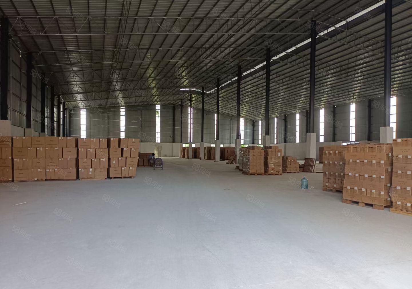 惠州市惠阳区沙田镇工业园区独院钢结构厂房3600平方米 8米