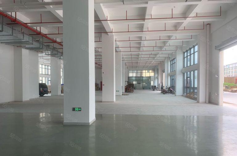 惠州新圩全新厂房带红本1楼2楼各2000平实际面积可整租分租