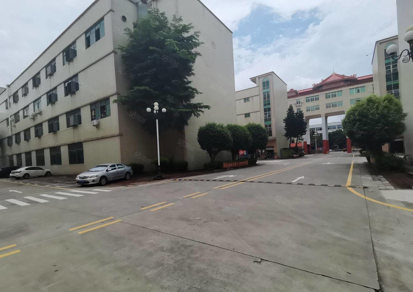 惠阳秋长白石8万平原房东工业园带装修厂房出租可分租一楼6米高