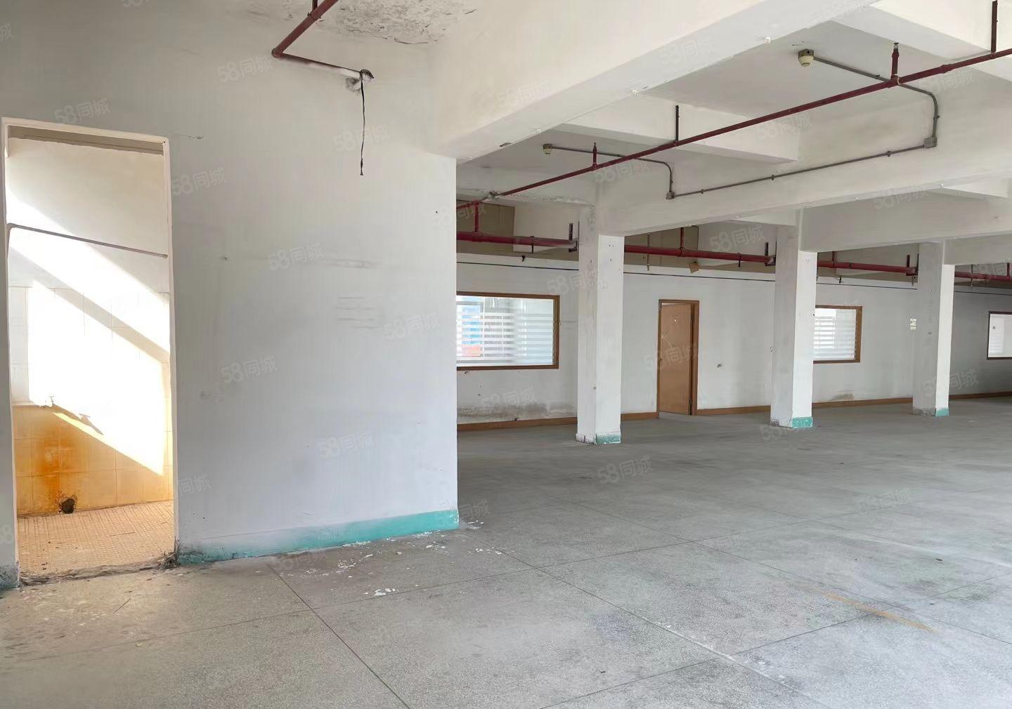 原房东红本厂房大小可分租