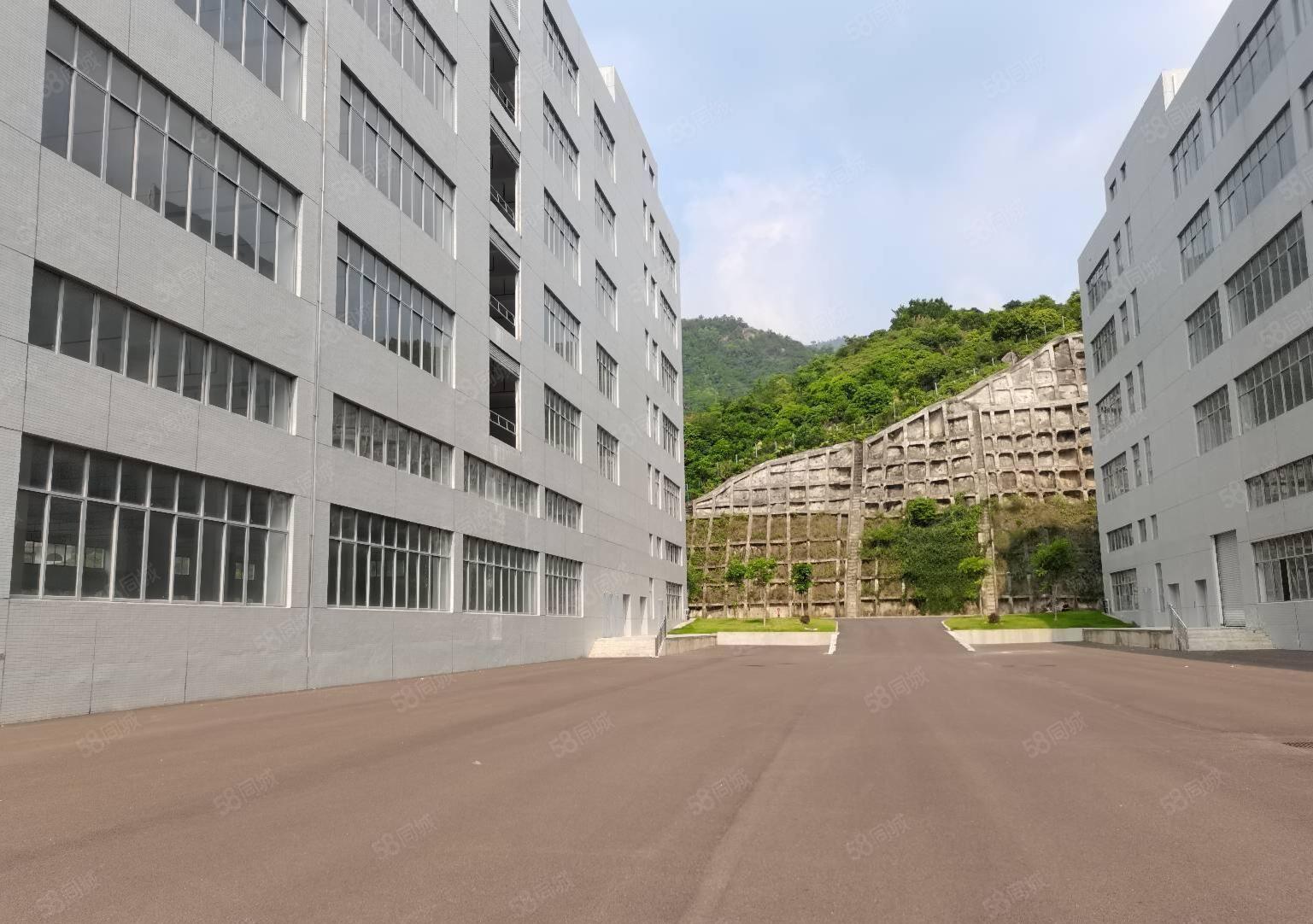 500平起租，惠阳新圩5万平工业区厂房仓库独院出租带消防喷淋