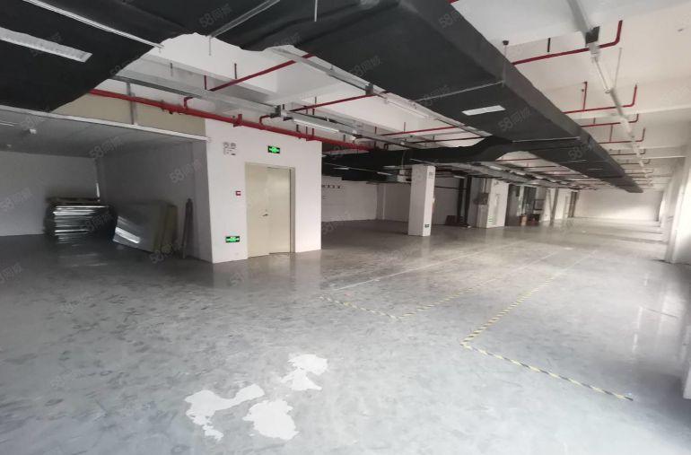 价格8元!  镇隆皇后楼上1180平带装修厂房出租可分租