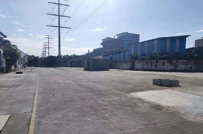 惠阳新圩靠秋长原房东独院钢构厂房仓库2400平方低价租可分租