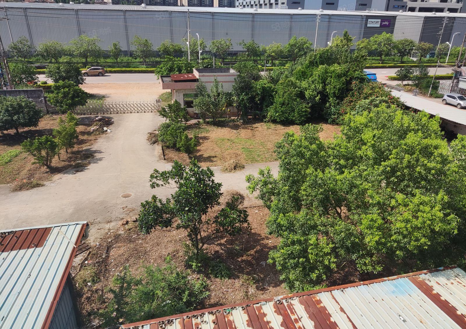 （3层独院，空地7千）三和经济开发区11500平，空地可搭建