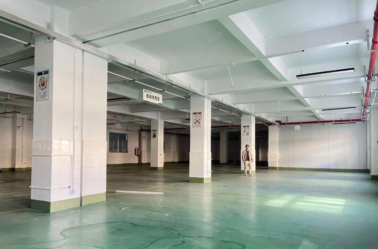 临深原房东独门独院10000平仓库厂房低价出租