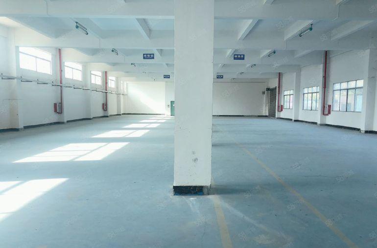 惠阳新圩临深独门独院原房东厂房低价11块出租，可分租