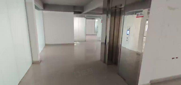 淡水彩虹城写字楼出租单层面积450平，带装修带隔间可整租分租
