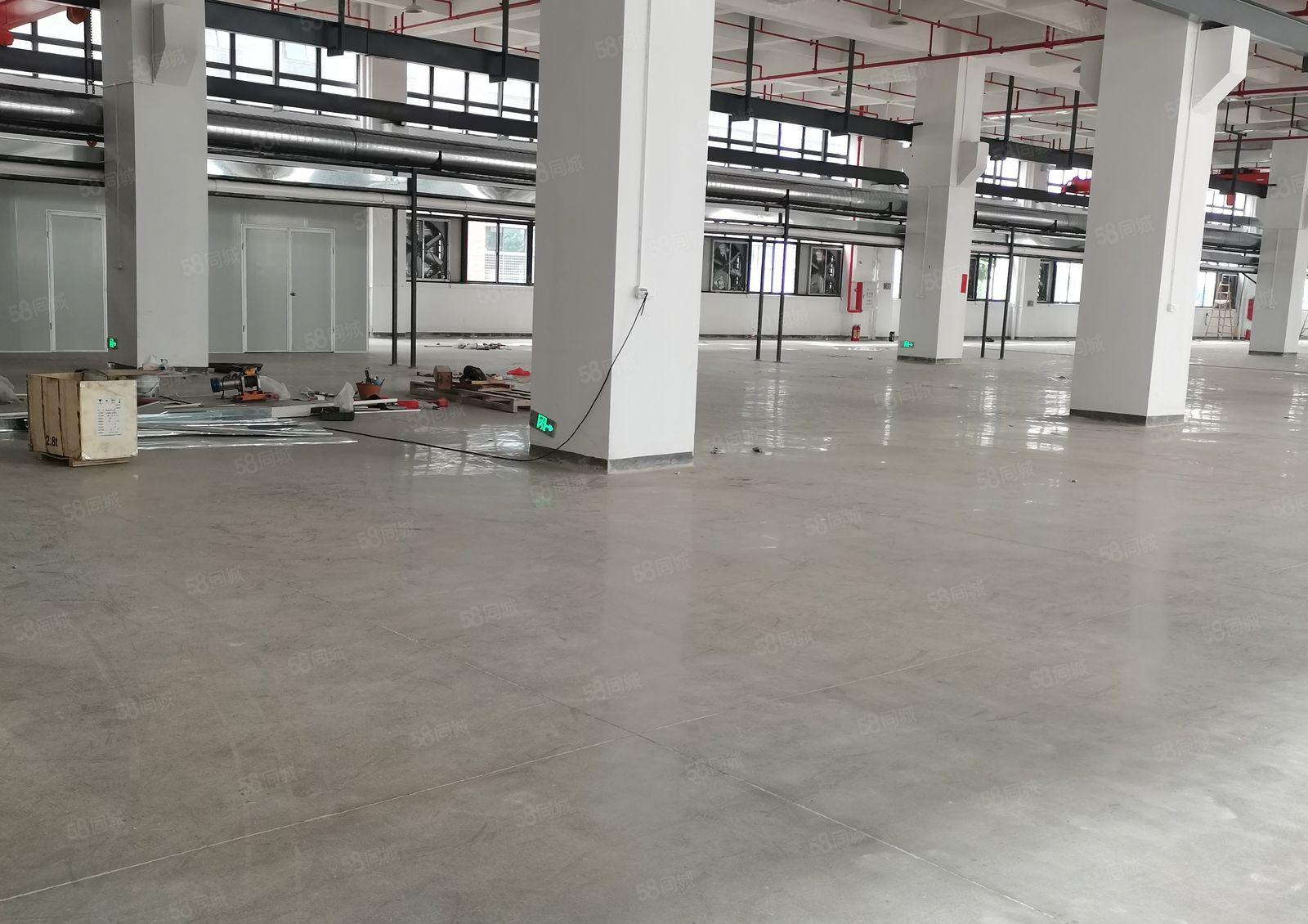 秋长大工业区一楼厂房800平米出租  原房东直接出租可分租急