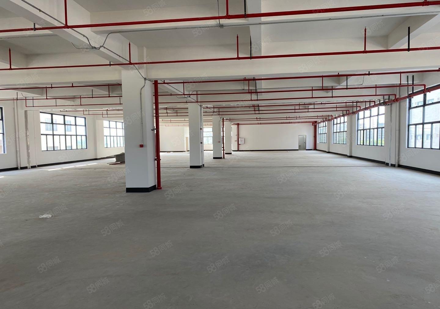 惠阳镇隆稀有独院厂房4万出租可分租可办理环评可做污染行业