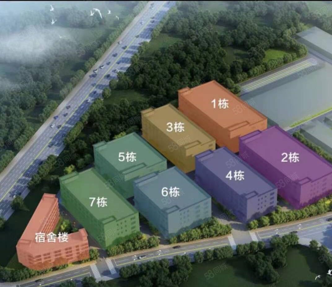 惠州市全新红本产业园原房东12万平标准厂房招租可分租