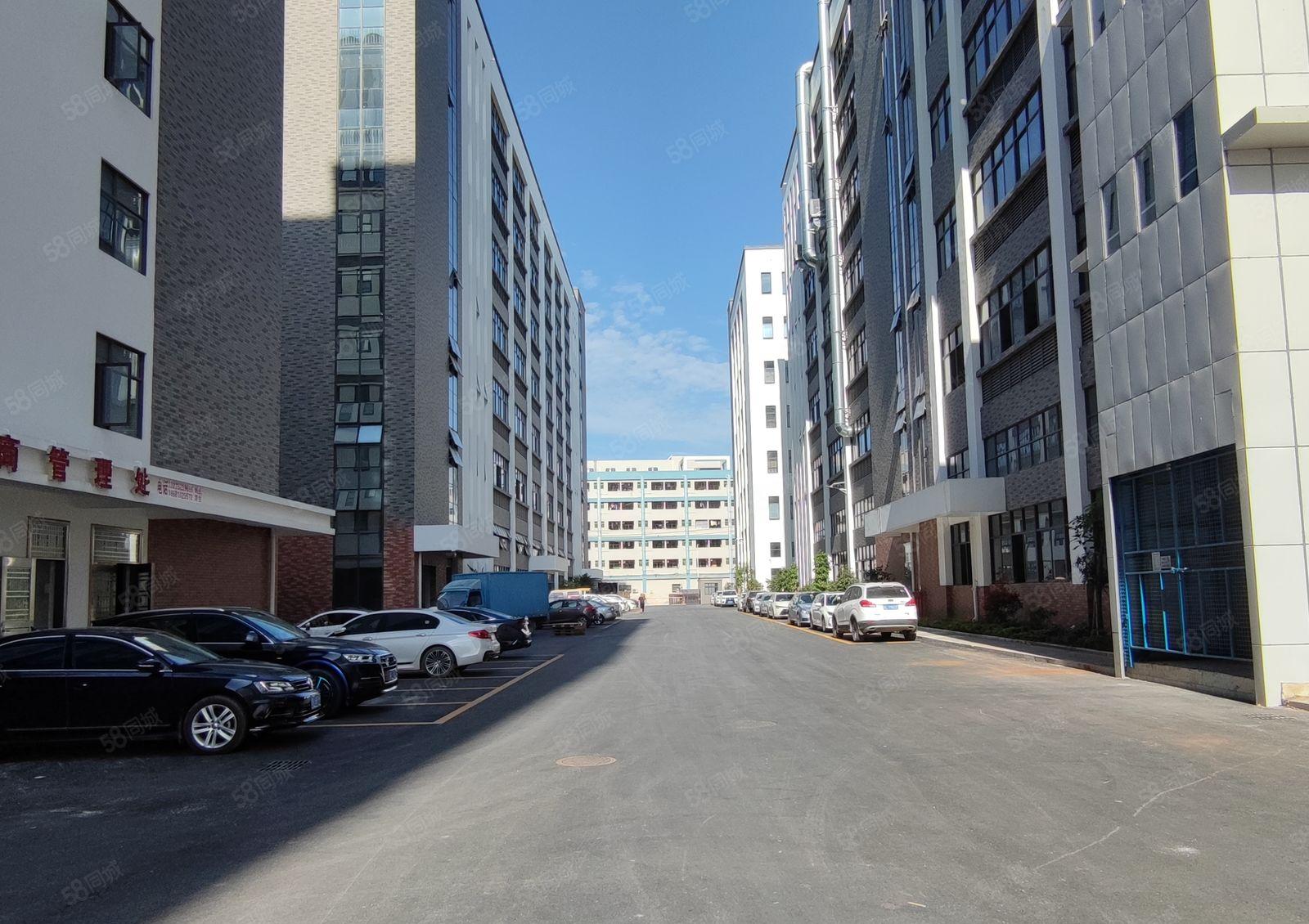 惠阳区镇隆镇大型工业园分租20400平标准厂房出租