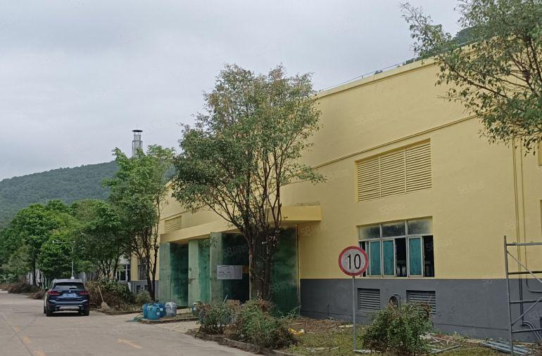 （大小分租）惠阳新圩新出靠山边红本独院钢结构厂房24000平