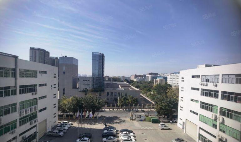 特价新圩原房东一楼厂房出租适合电子注塑五金机械设备塑料仓库等