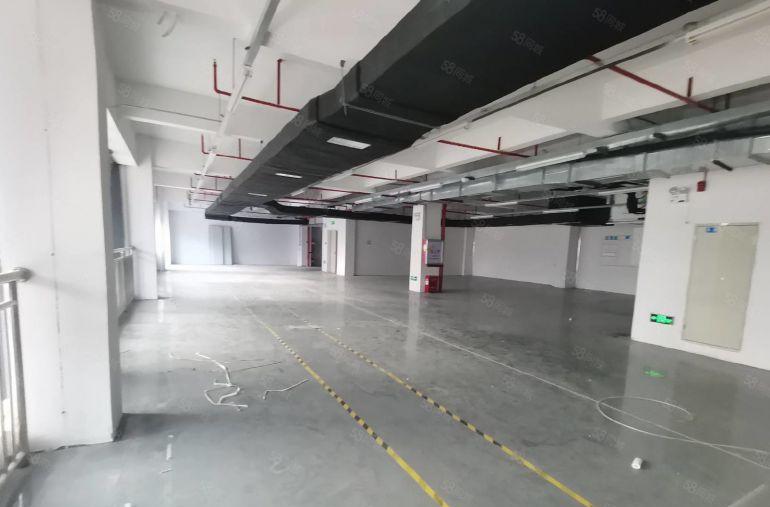 价格8元!  镇隆皇后楼上1180平带装修厂房出租可分租