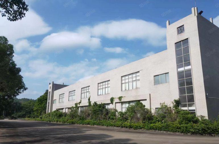 惠阳淡水15000平厂房出租