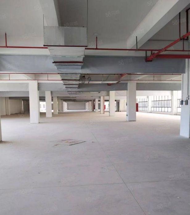 厂房出租惠州市惠阳区良井镇20000平标准厂房可租独栋可分层