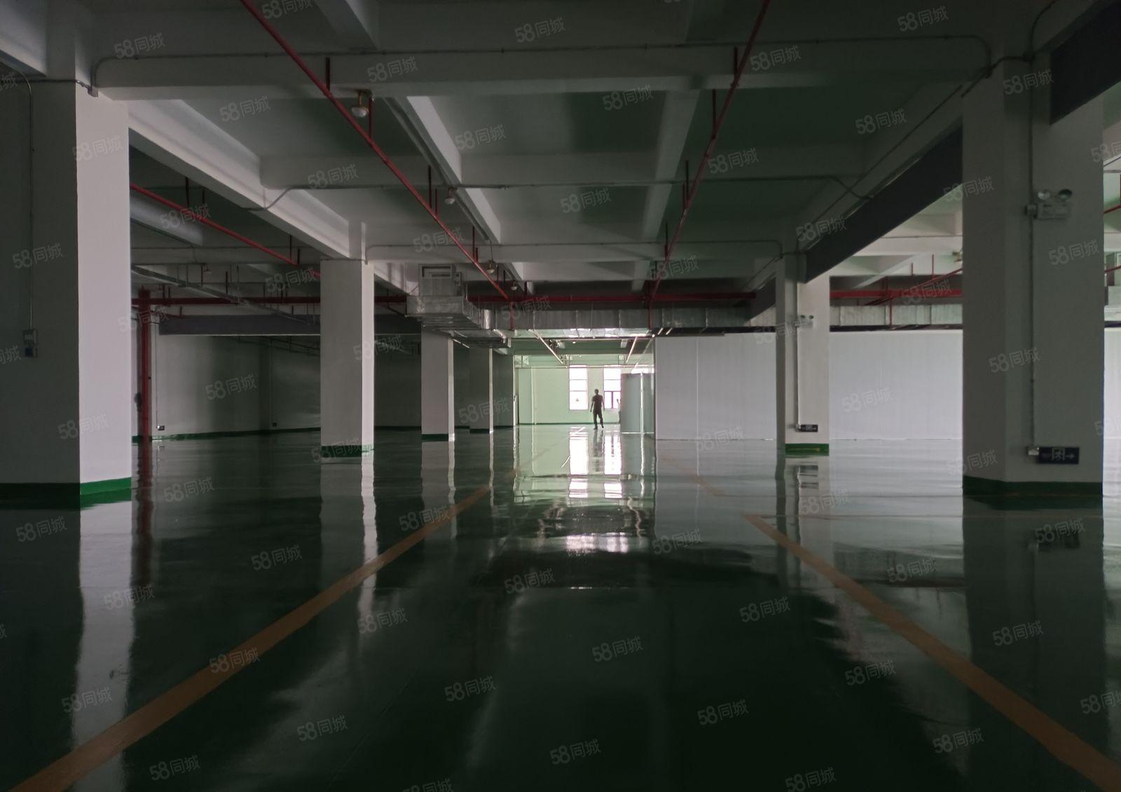 淡水街道全新3000标准无尘车间出租，独立园区变压器电按需