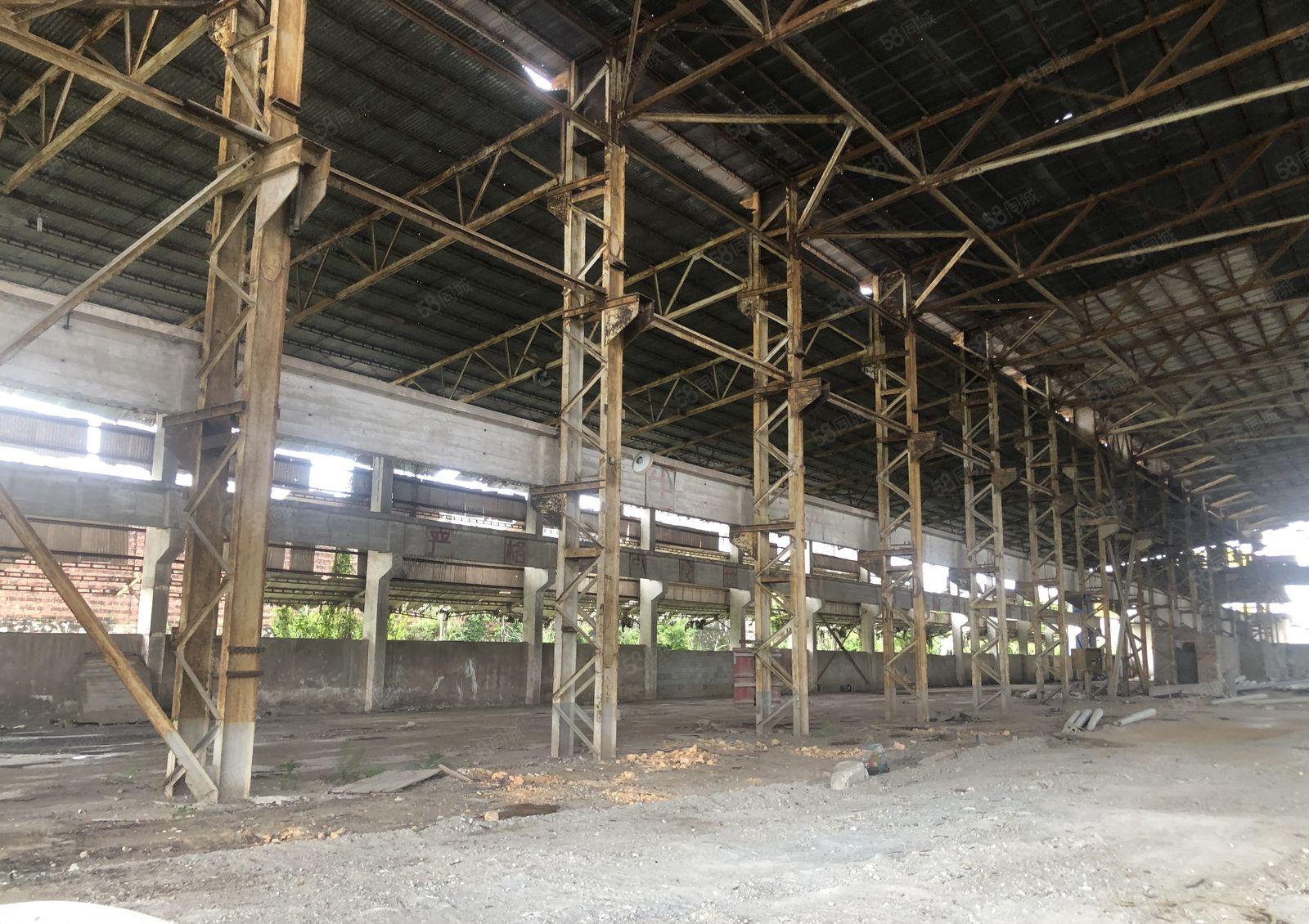 可做水泥制品特种钢构厂房，12m滴水，面积5000空地4万