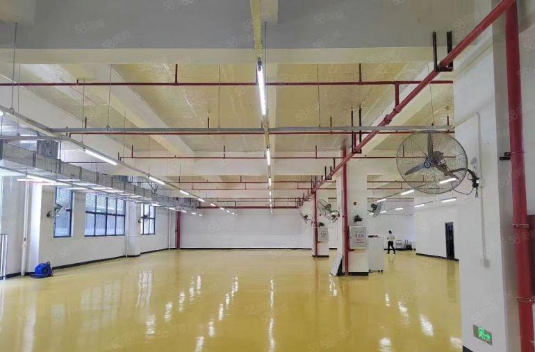 8块钱，500平起分租惠阳秋长全新精装修标准15万平厂房出租