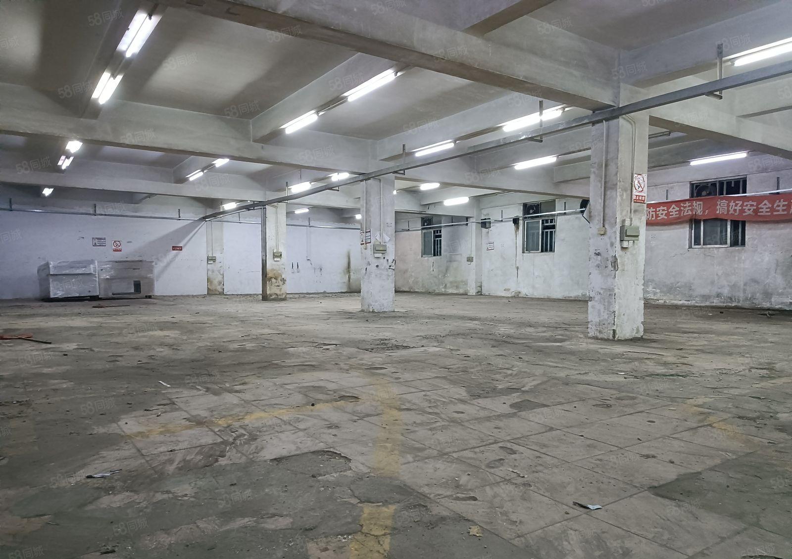 厂房出租惠阳新圩一楼标准厂房1000平，高5.5米可分租