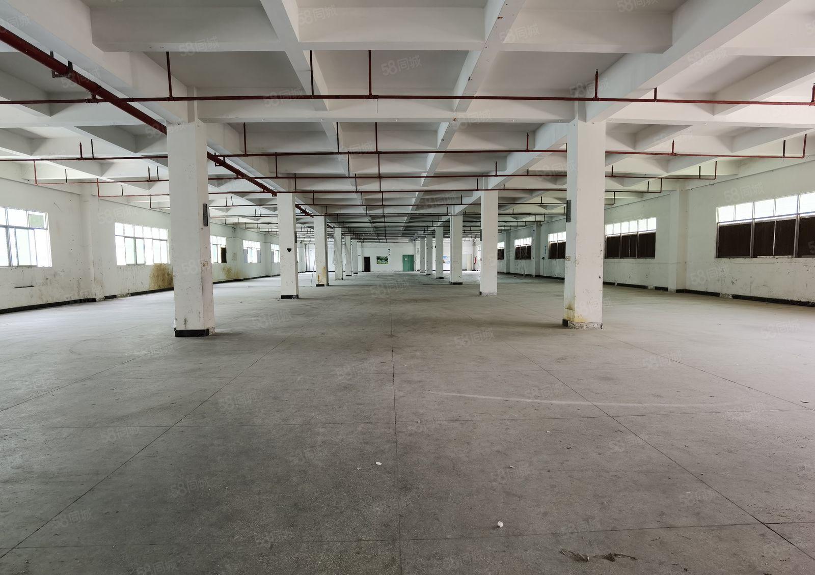 惠州惠阳区镇隆7000平米标准独院厂房原房东实际面积出租