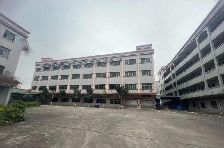 原房东独门独院标准三层厂房精装修办公室