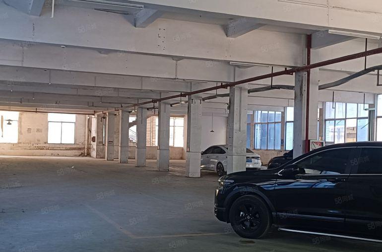 （空地近5000平）惠阳镇隆高田红本标准厂房一楼1200平