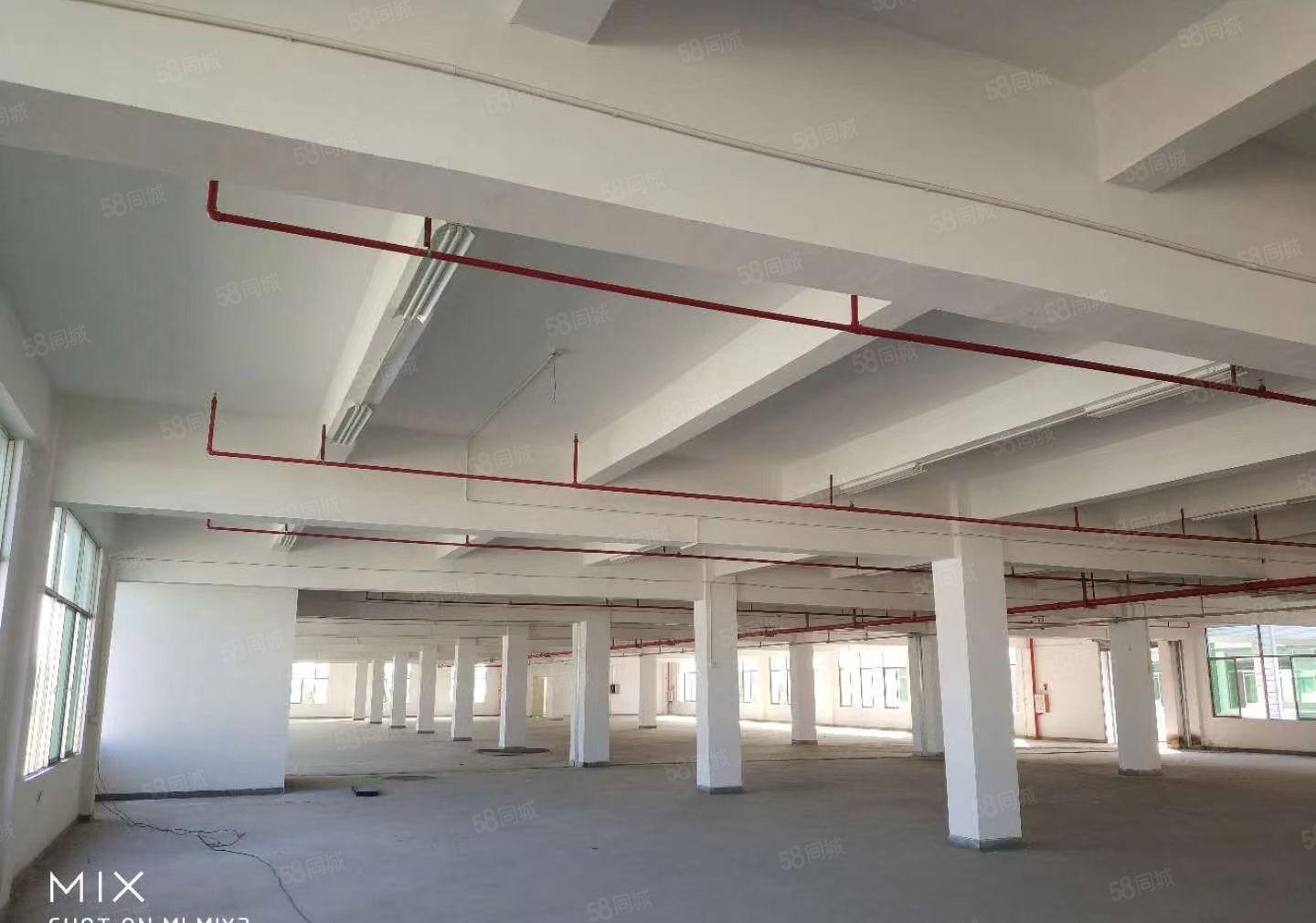 惠州市新圩镇原房东独门独院88000平方标准厂房招租