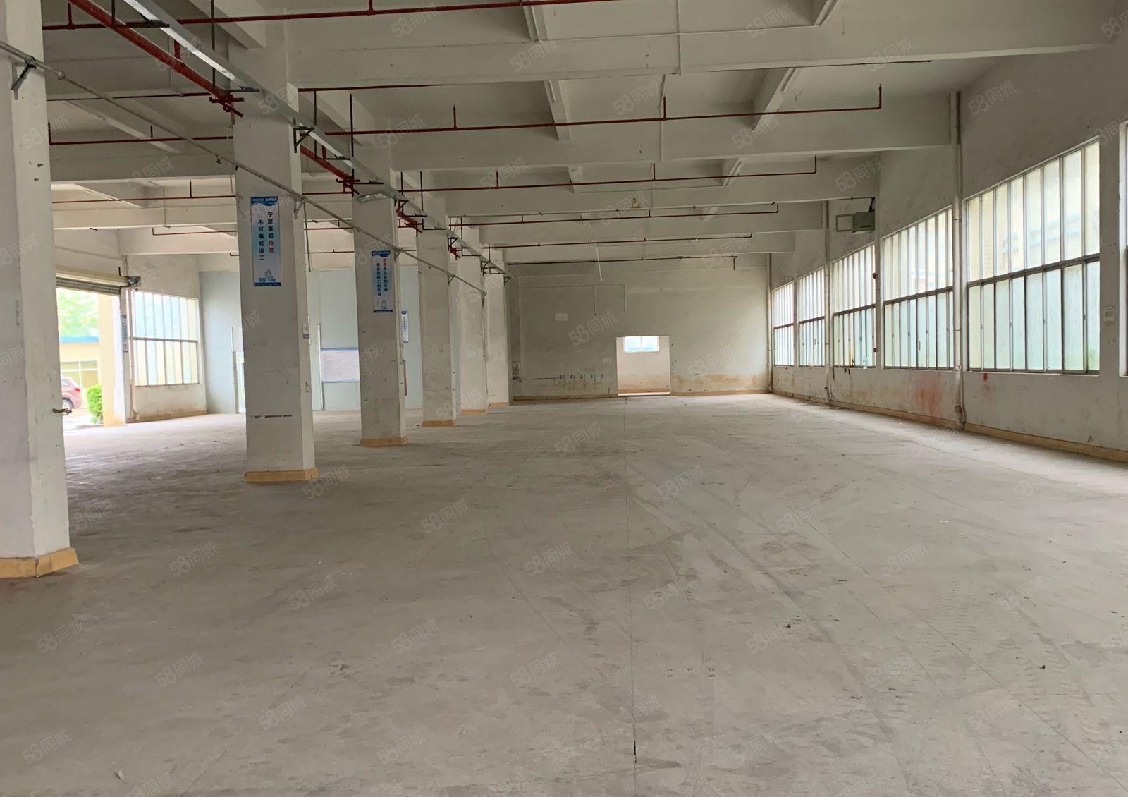 惠阳淡水房东自用层高6米厂房分租一楼1650平