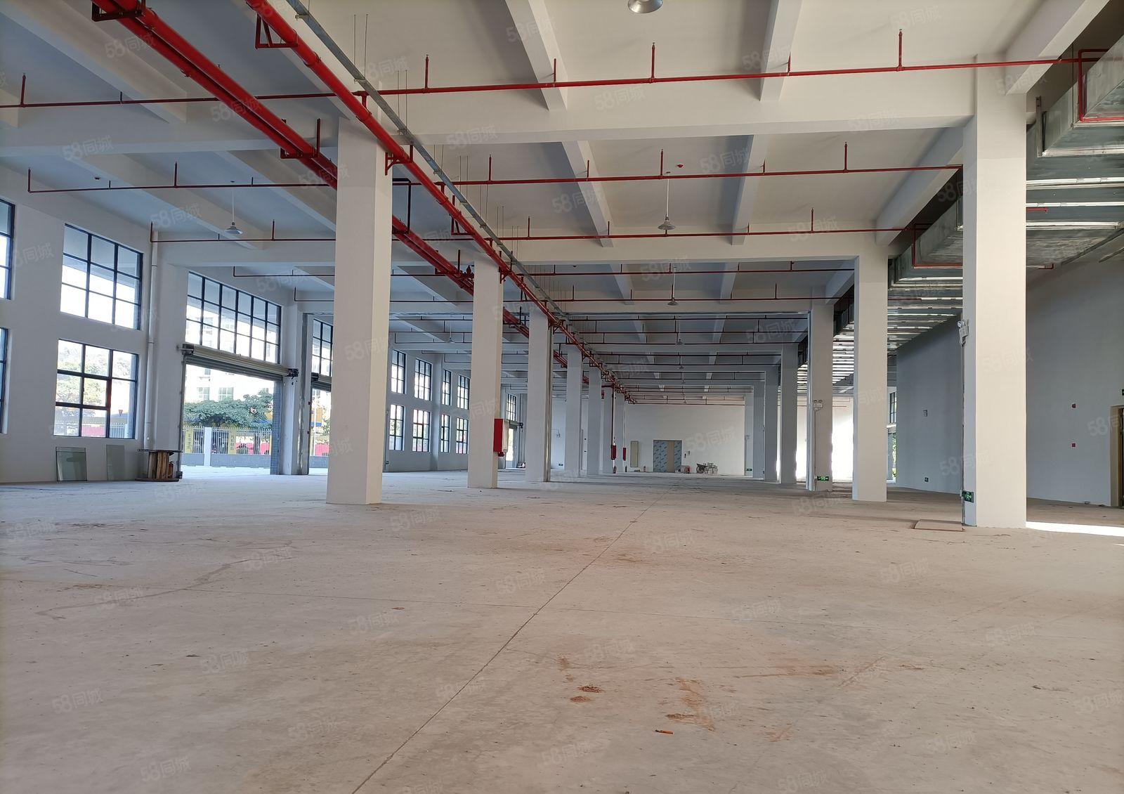 惠阳经开区50000平大型工业园10元出租