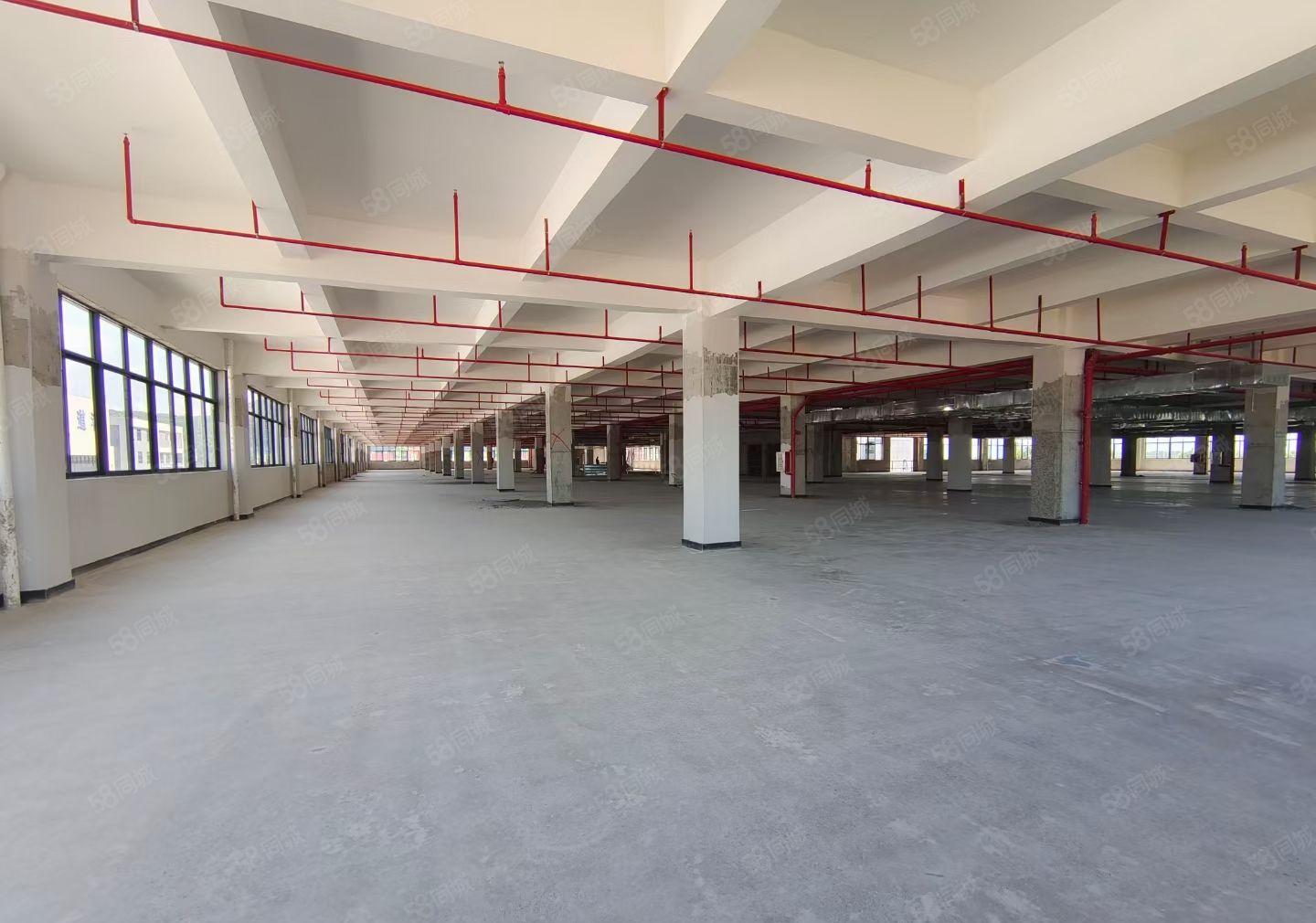 平潭怡发工业区全新独门独院1200平方厂房出租，11元一平