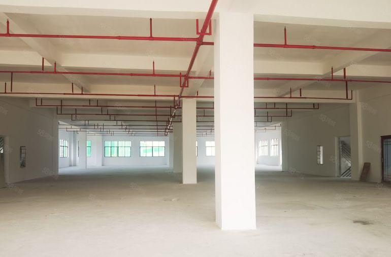 沙田出租工业园标准（厂房4F3300平米）低价8元