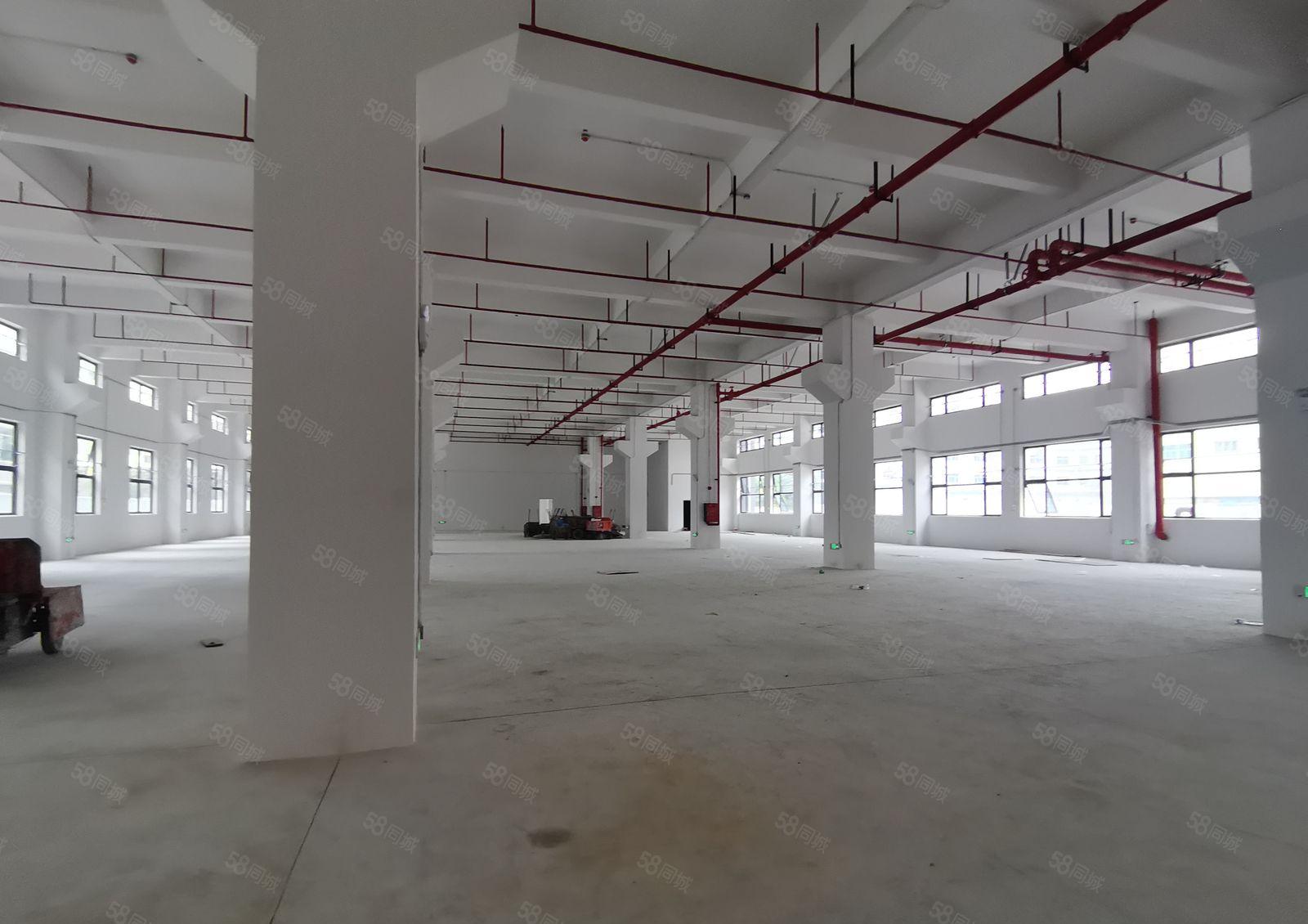 2百5百8百1千平起分租新墟长布工业区独栋2千平仓库厂房出租