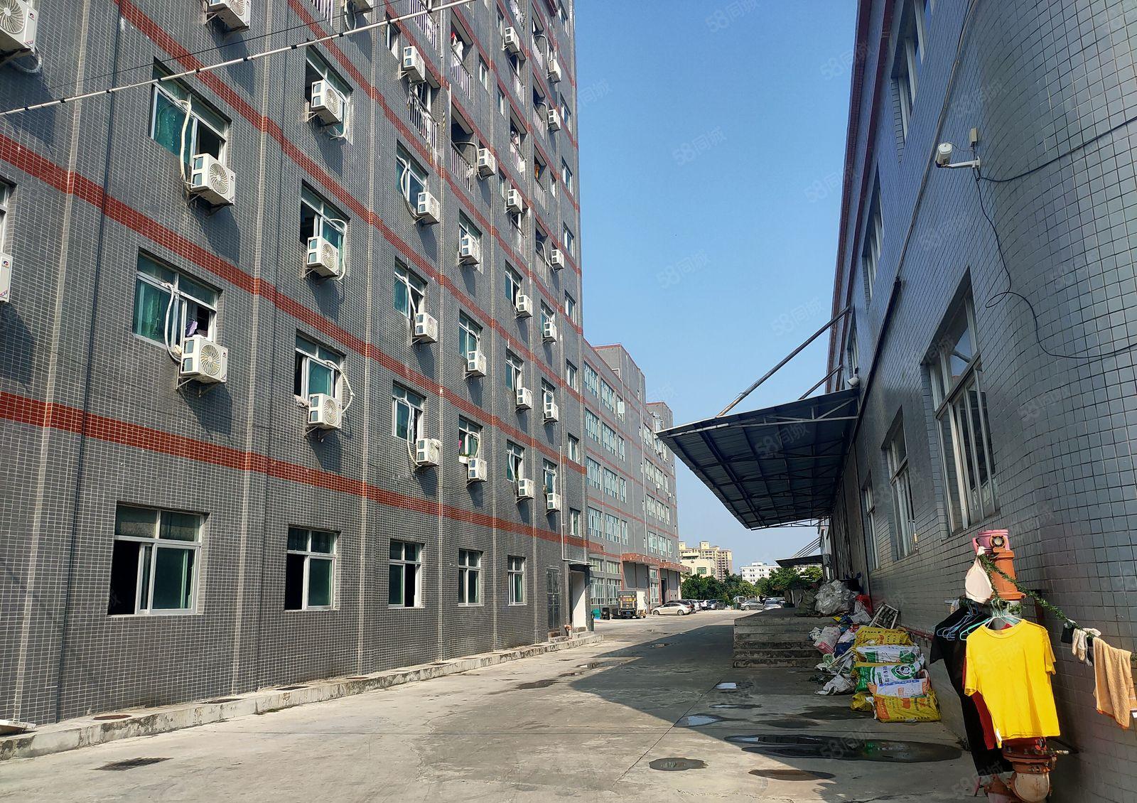 惠东县白花镇新出500平无公摊钢构厂房出租