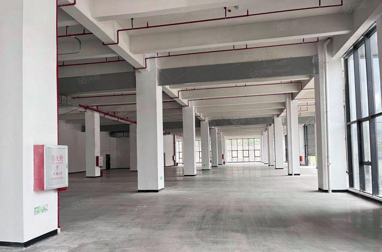 8元8元厂房！惠阳秋长全新红本厂房80000平方出租，可分租